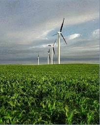 Wind turbine farm (windmills). (photography: Courtesy of the National Renewable Energy Laboratory at the United States of America's Department of Energy)
